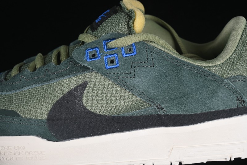 Nike SB Day One Low Top Casual Skate Shoes with Air Zoom Cushion - FN4210-300