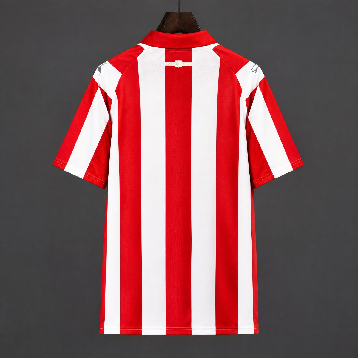 26/27 PSV Eindhoven Coen Dillen Special Edition Red Stripes Jersey